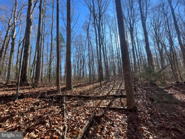 $750,000 | 0 Chisholm Creek Road, Dugspur, VA 24325