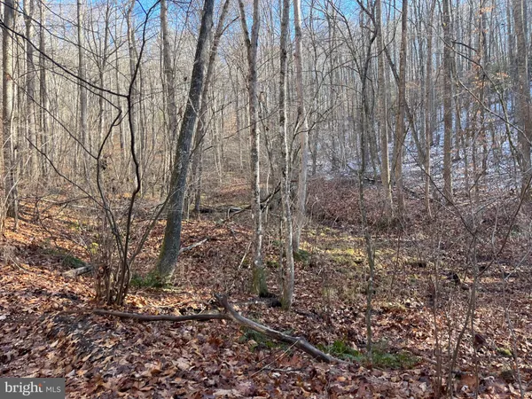 $750,000 | 0 Chisholm Creek Road, Dugspur, VA 24325