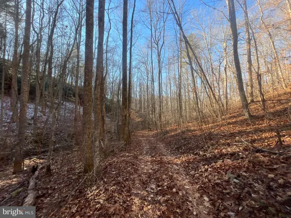 $750,000 | 0 Chisholm Creek Road, Dugspur, VA 24325