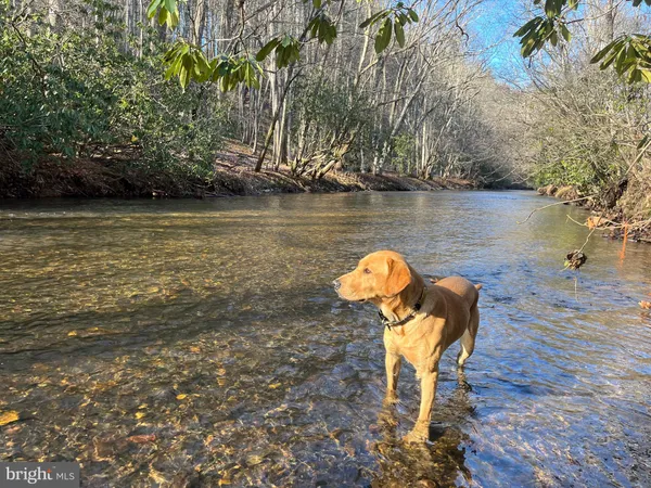 $750,000 | 0 Chisholm Creek Road, Dugspur, VA 24325