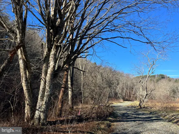 $750,000 | 0 Chisholm Creek Road, Dugspur, VA 24325