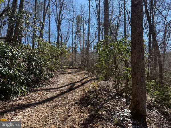 $750,000 | 0 Chisholm Creek Road, Dugspur, VA 24325