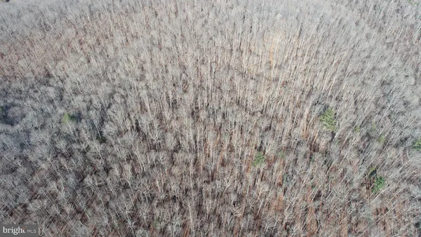 a view of a dry field