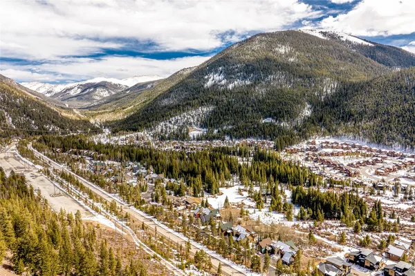 a view of tall trees