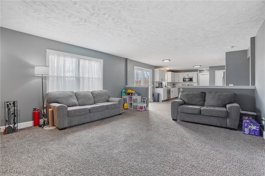 9278 Bryant Road Windham, OH 44288 - Photo 12 of 47 Carpeted living area featuring plenty of natural light and a textured ceiling