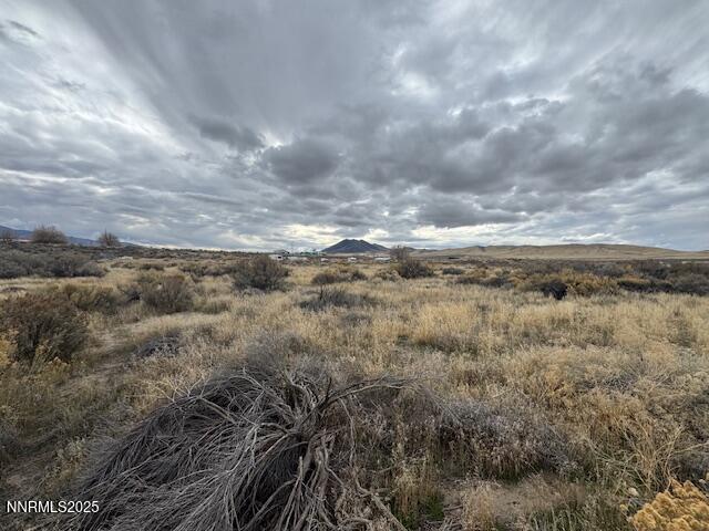 3445 Artemisia Road Winnemucca, NV 89445 - Photo 10 of 14 a view of a big yard