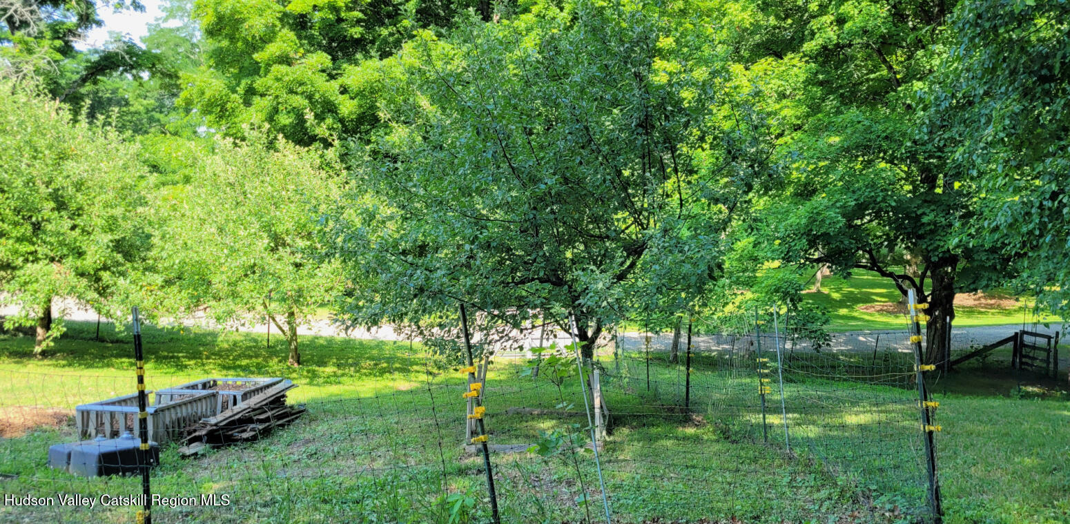 32 Old Rte 199 Red Hook, NY 12571 - Photo 43 of 44 Vegetable garden