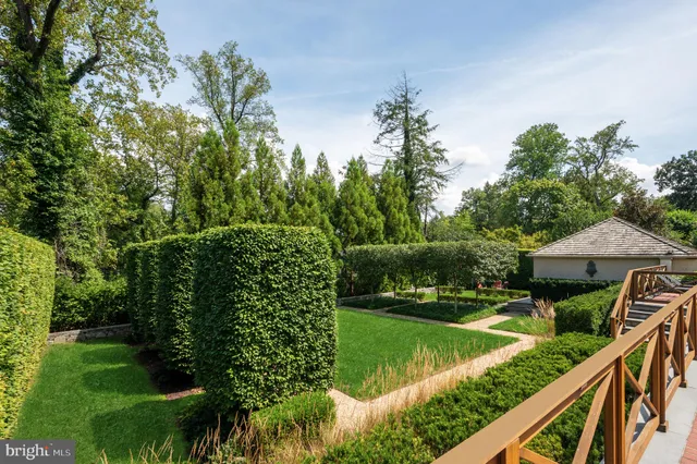 a view of a garden with plants and large trees