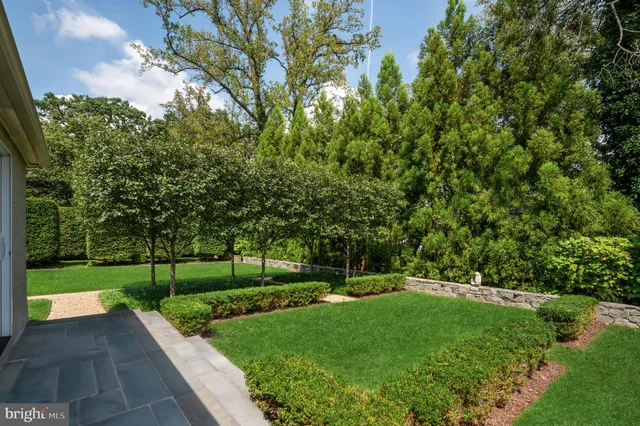 a view of a park with large trees