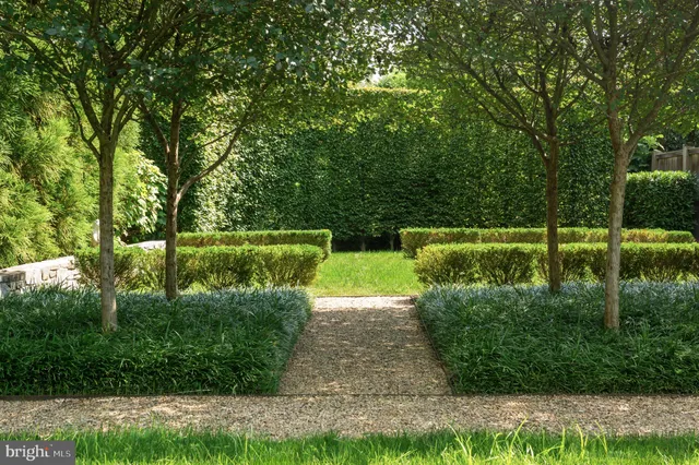 a view of a park with large trees