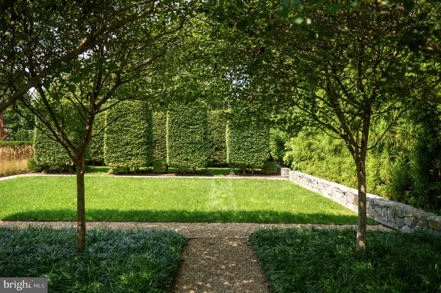 a view of a backyard with a small cabin