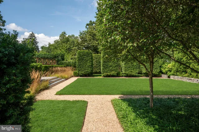a view of a park with large trees