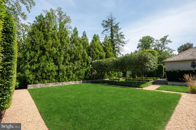 a view of a park with plants and a large tree