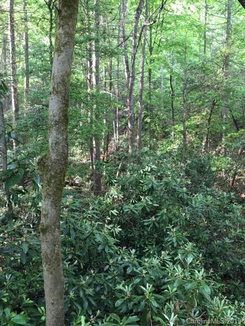 99999 Maple Hill Road Marion, NC 28752 - Photo 7 of 9 Gallery Image 7