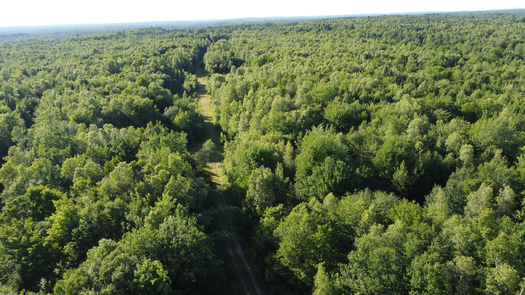 171 Reed Plt Me 04497 Wytopitlock, ME 04497 - Photo 6 of 29 dji_fly_20260716_175410_741_178423892204