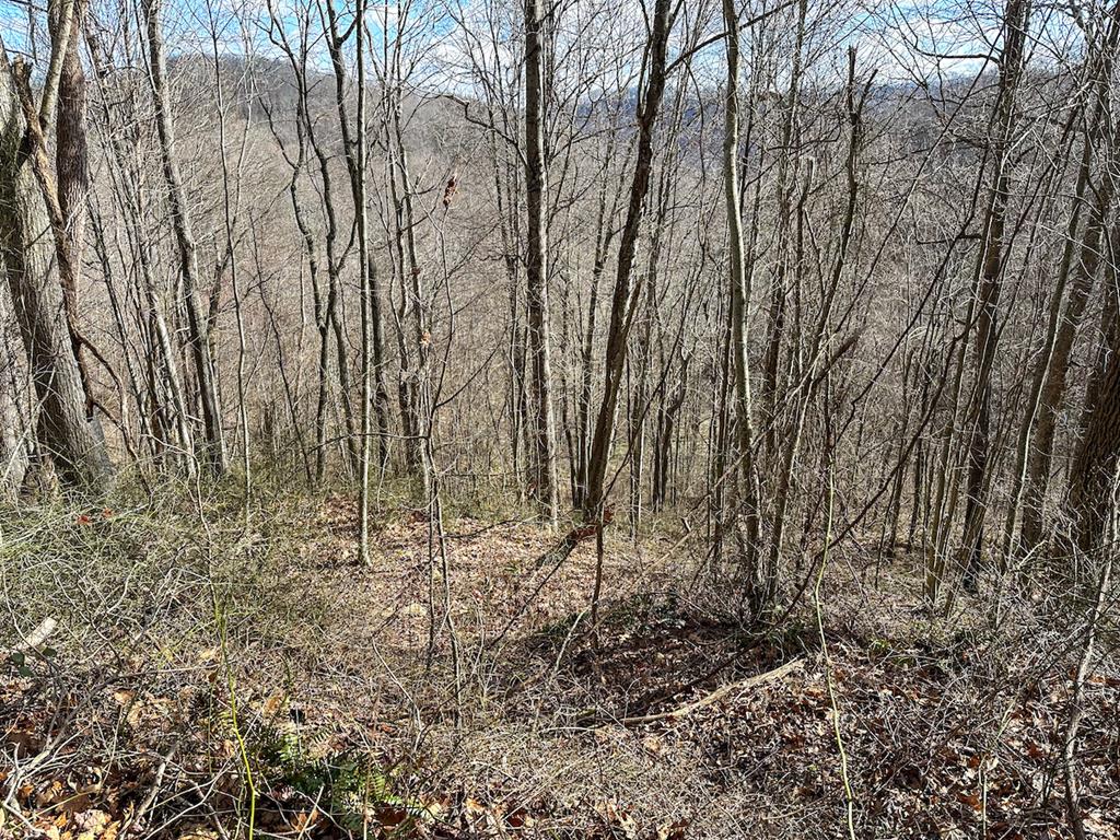Schultz Hollow Road Bluefield, VA 24605 - Photo 15 of 25 Gallery Image 15