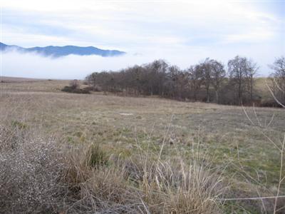 2005 Butler Creek Road Ashland, OR 97520 - Photo 9 of 15 More pics of pasture area from horse are