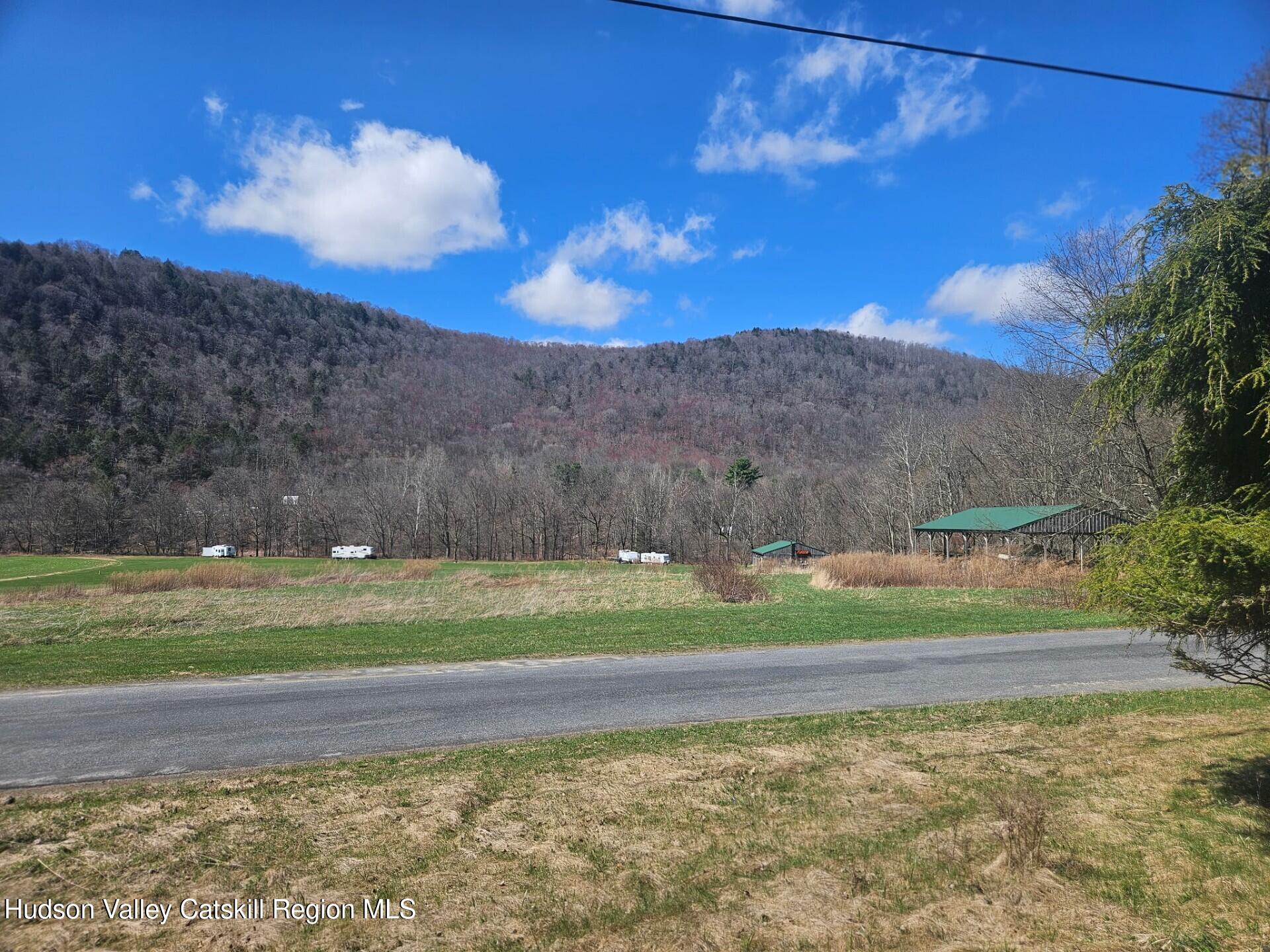 2374 River Road Downsville, NY 13755 - Photo 5 of 10 Across Street