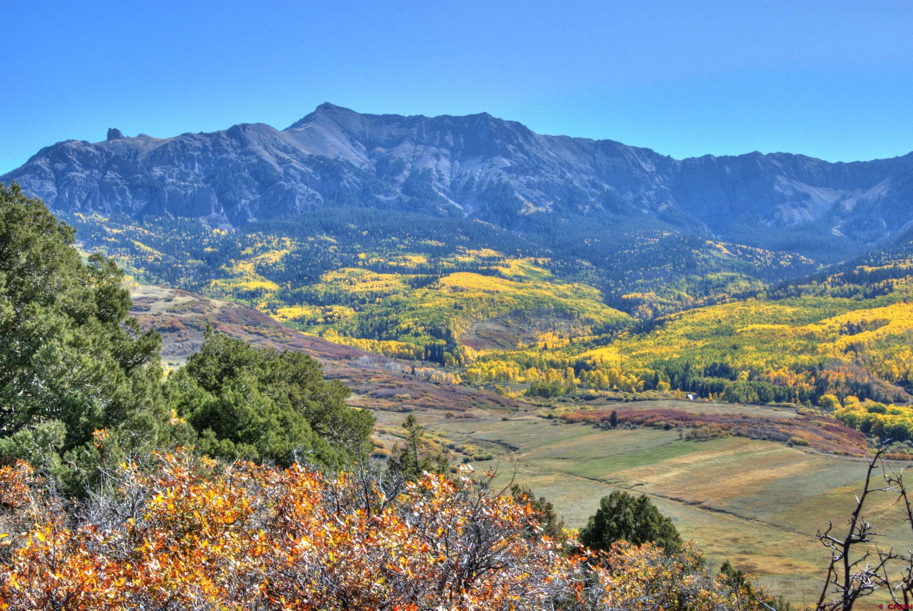 Tbd 59t Road Placerville, CO 81430 - Photo 16 of 28 a view of a backyard with wooden fence