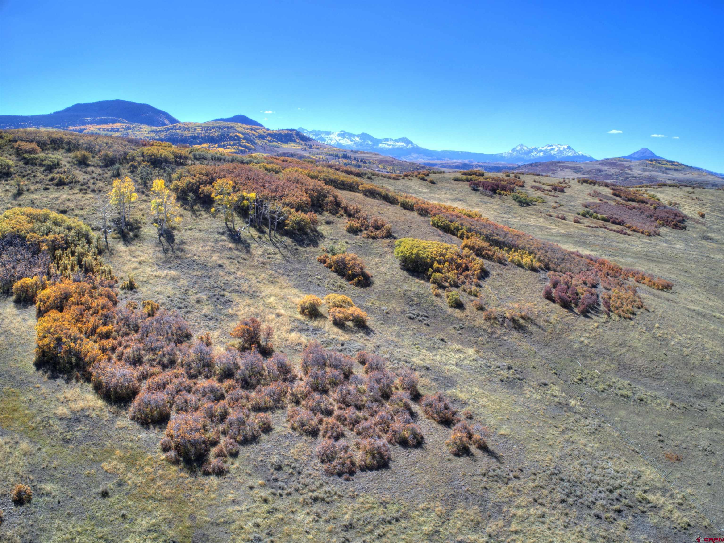 Tbd 59t Road Placerville, CO 81430 - Photo 20 of 28 a view of a street with a yard