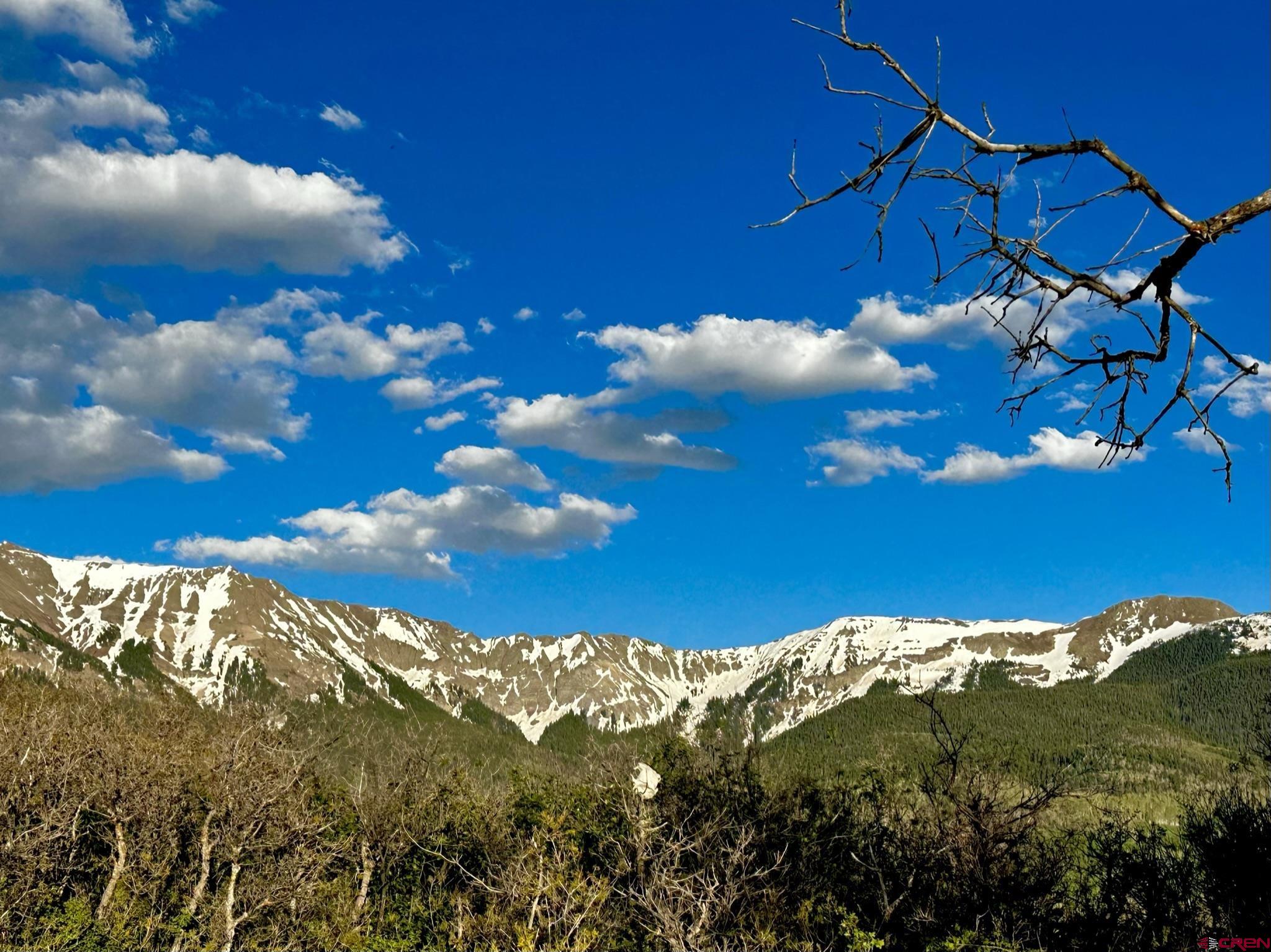 Tbd 59t Road Placerville, CO 81430 - Photo 4 of 28 a view of a yard