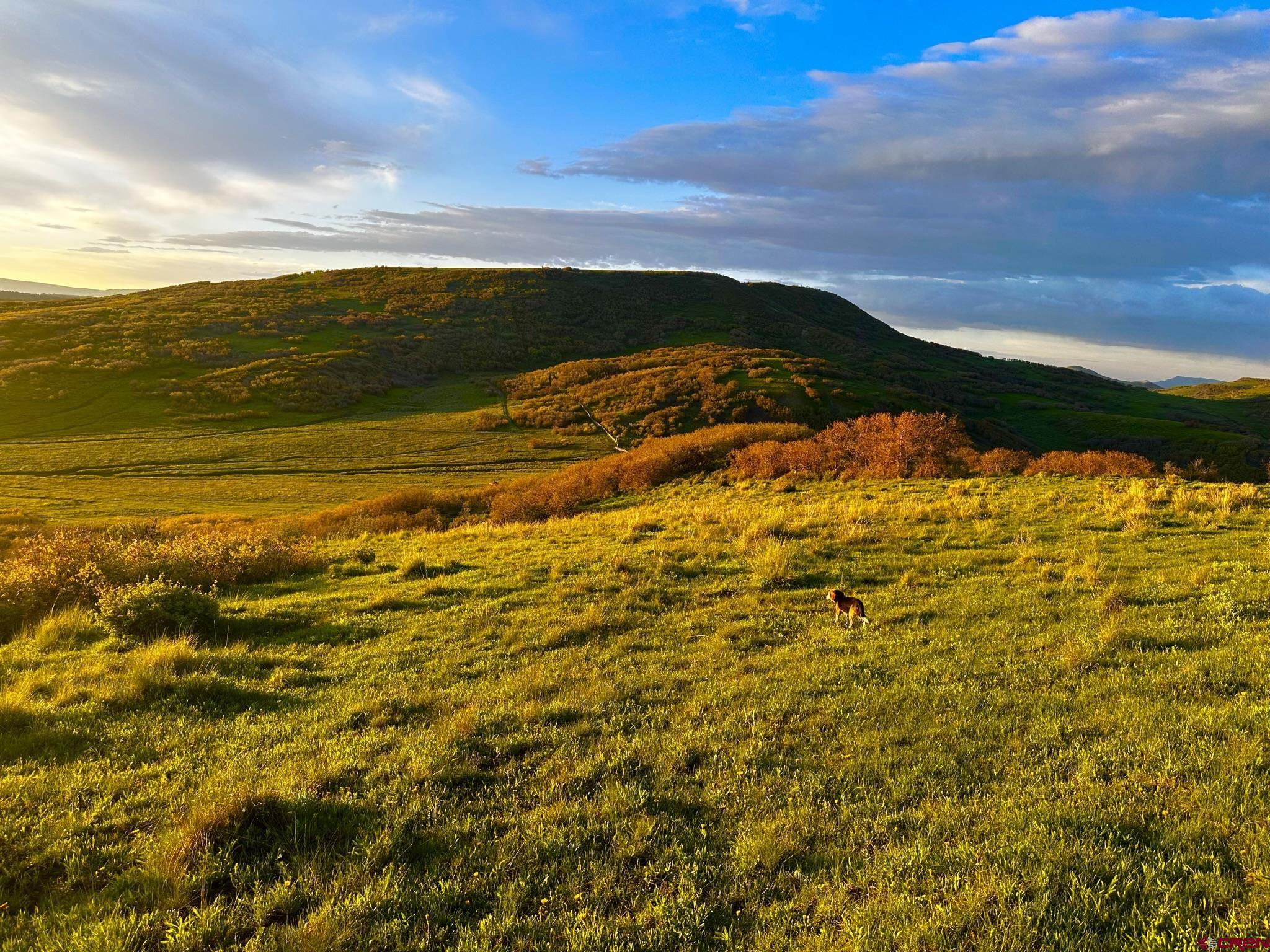 Tbd 59t Road Placerville, CO 81430 - Photo 6 of 28 a view of an ocean