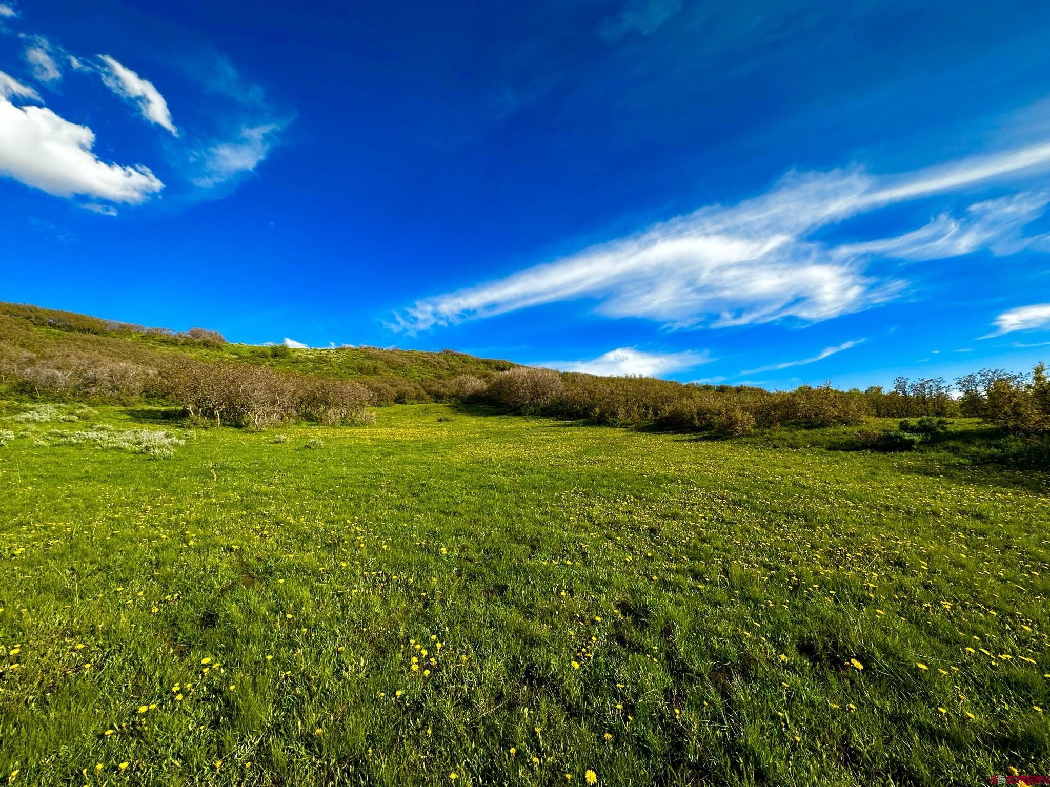 Tbd 59t Road Placerville, CO 81430 - Photo 9 of 28 a view of an ocean