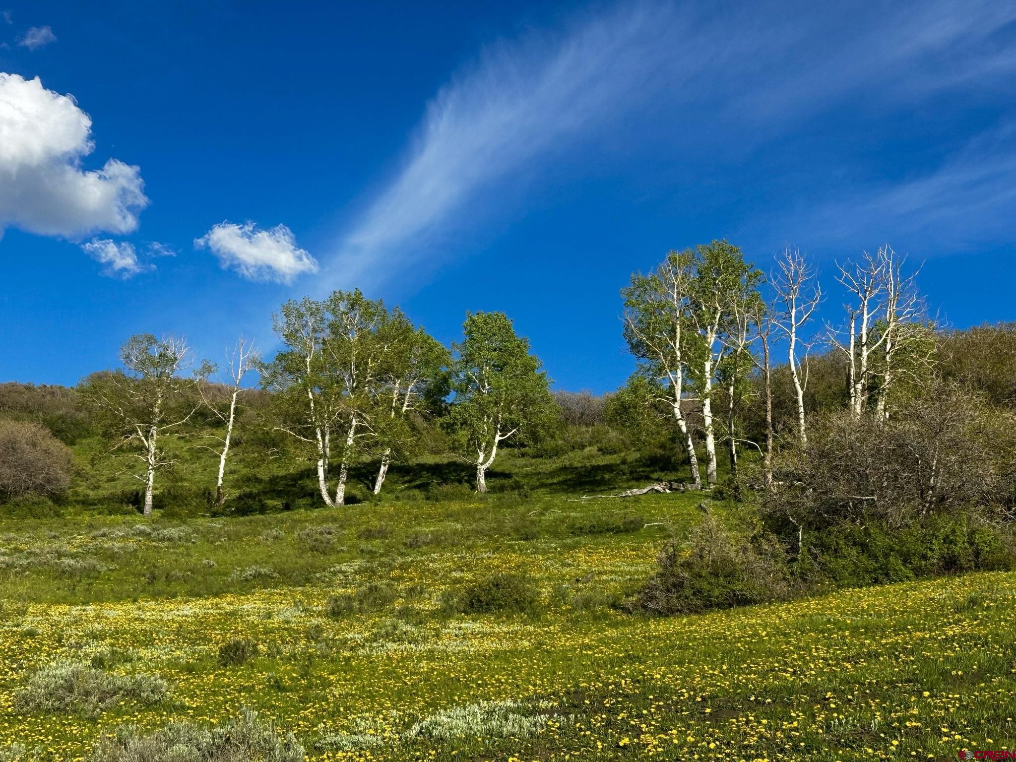 Tbd 59t Road Placerville, CO 81430 - Photo 10 of 28 a garden view with a fountain