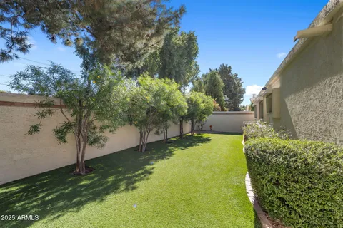 a view of a backyard