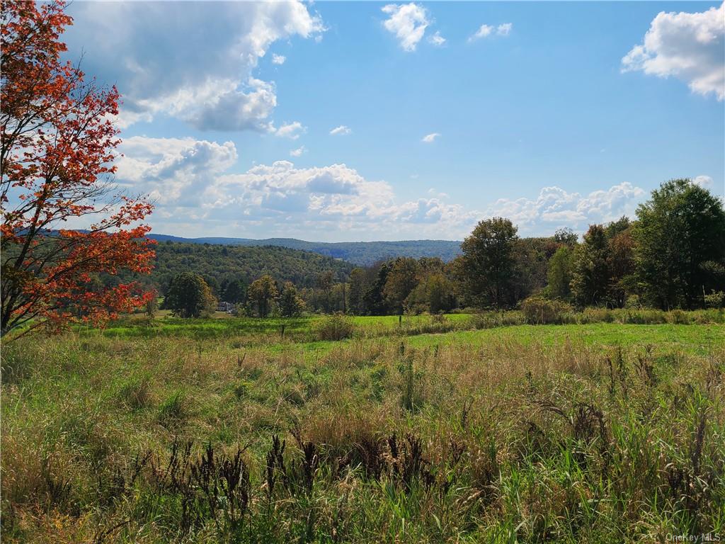 274 Gabel Road Callicoon, NY 12723 - Photo 4 of 33