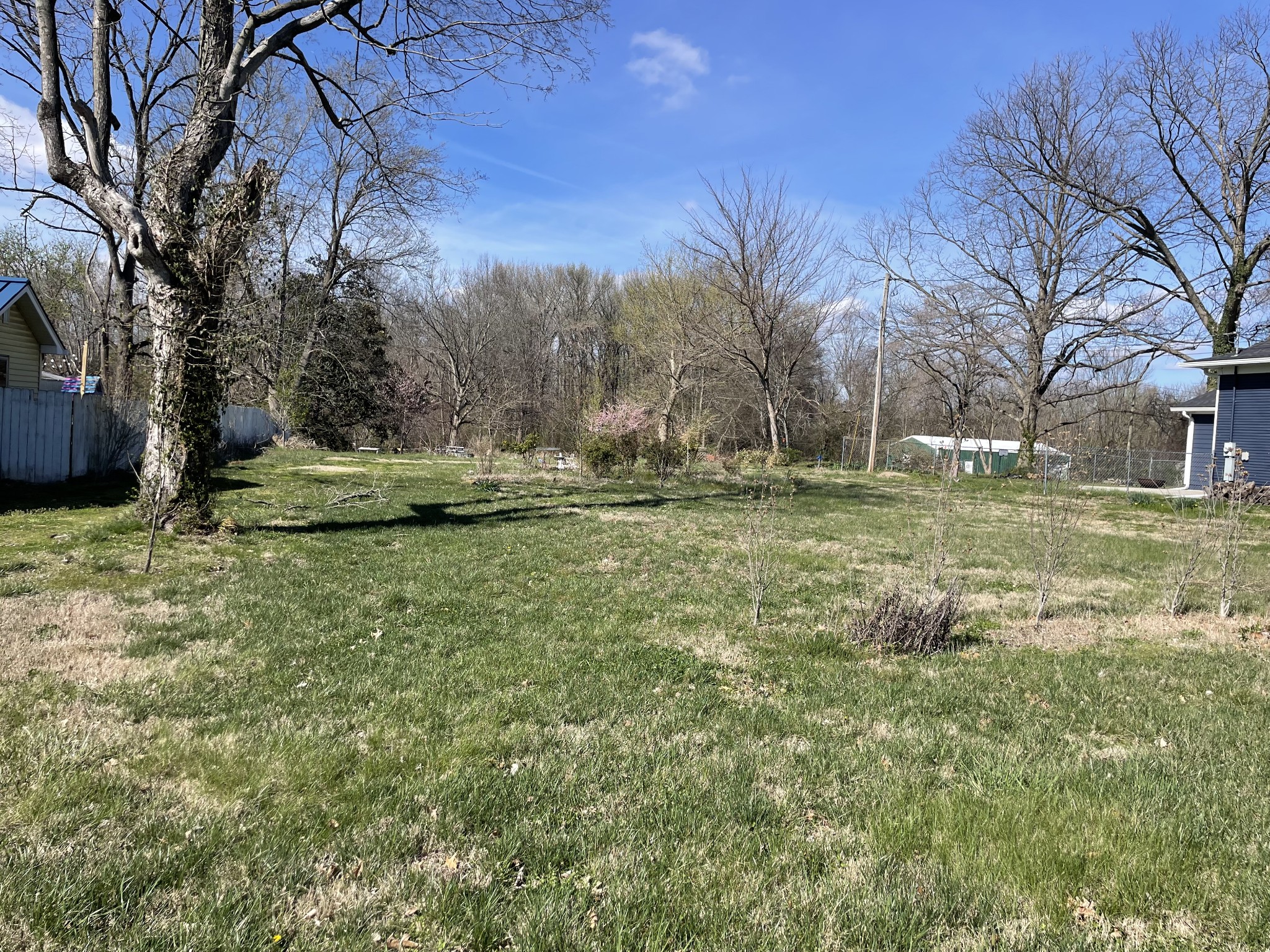112 Wheeler Street Portland, TN 37148 - Photo 2 of 3 a fire hydrant in the middle of a field