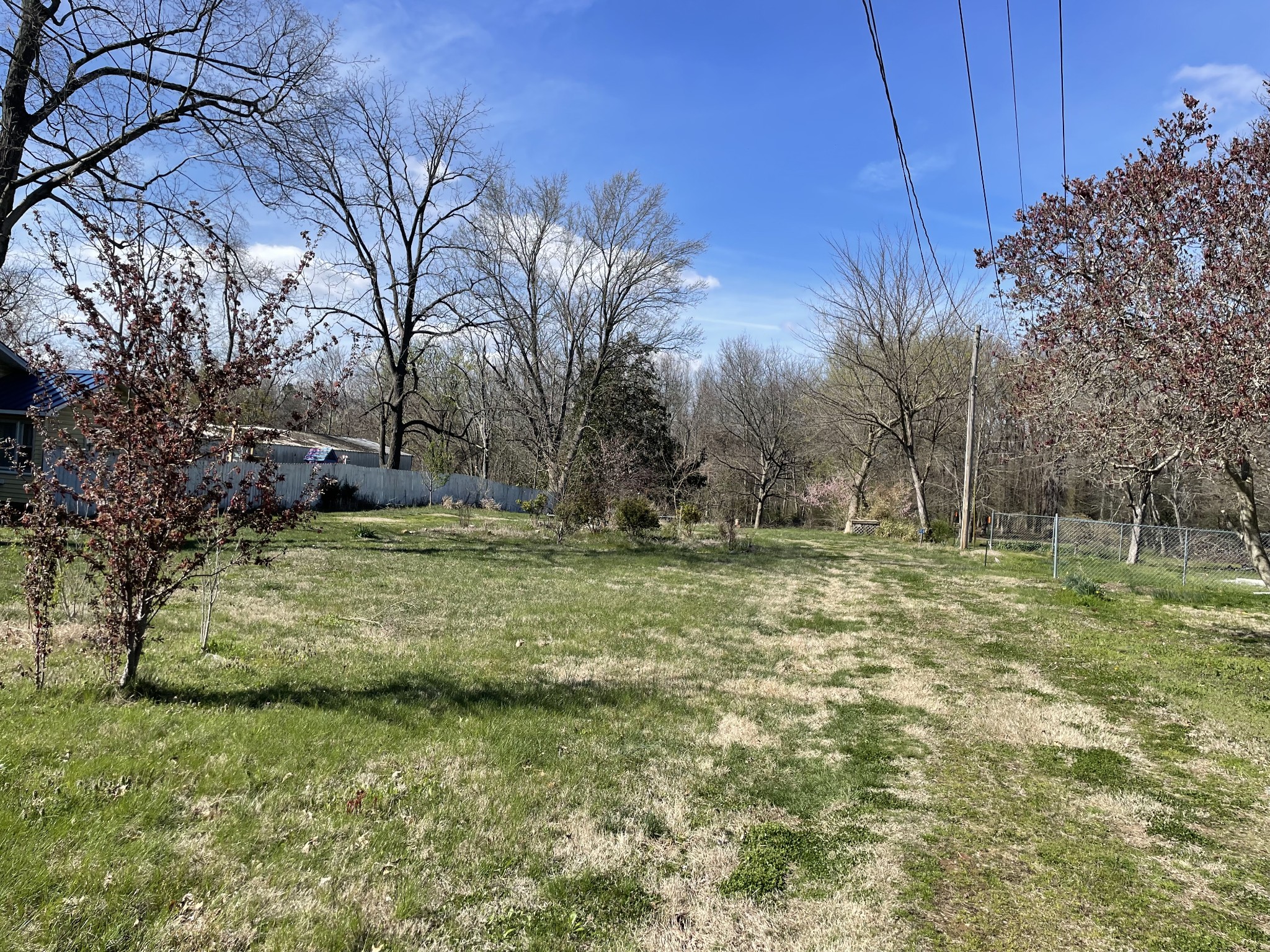 112 Wheeler Street Portland, TN 37148 - Photo 3 of 3 a view of outdoor space with trees