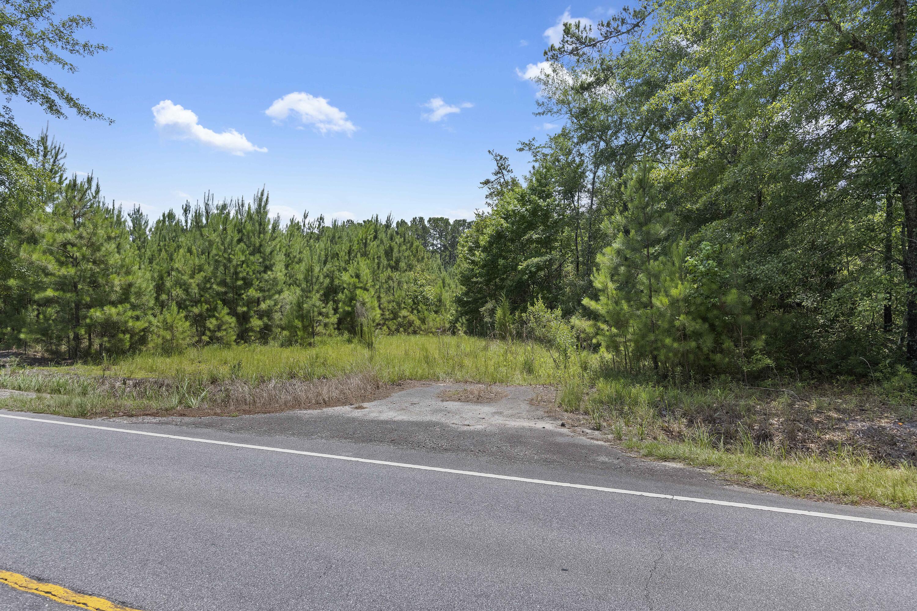 1667 Mudville Road Ridgeville, SC 29472 - Photo 11 of 14 243A0533