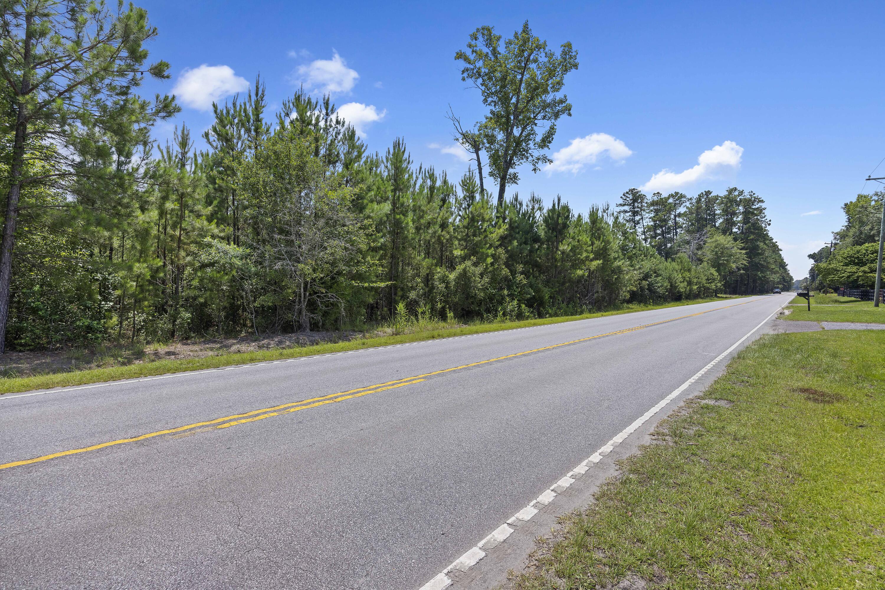 1667 Mudville Road Ridgeville, SC 29472 - Photo 13 of 14 243A0573
