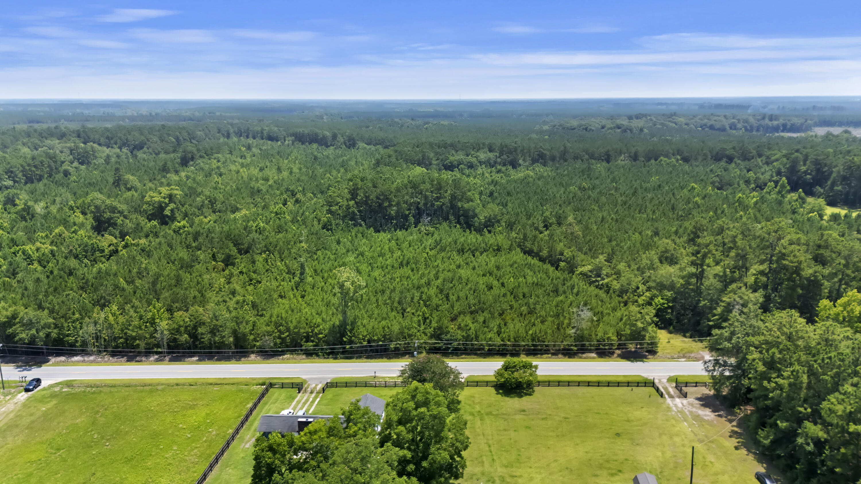 1667 Mudville Road Ridgeville, SC 29472 - Photo 3 of 14 DJI_20250625134633_0812_D