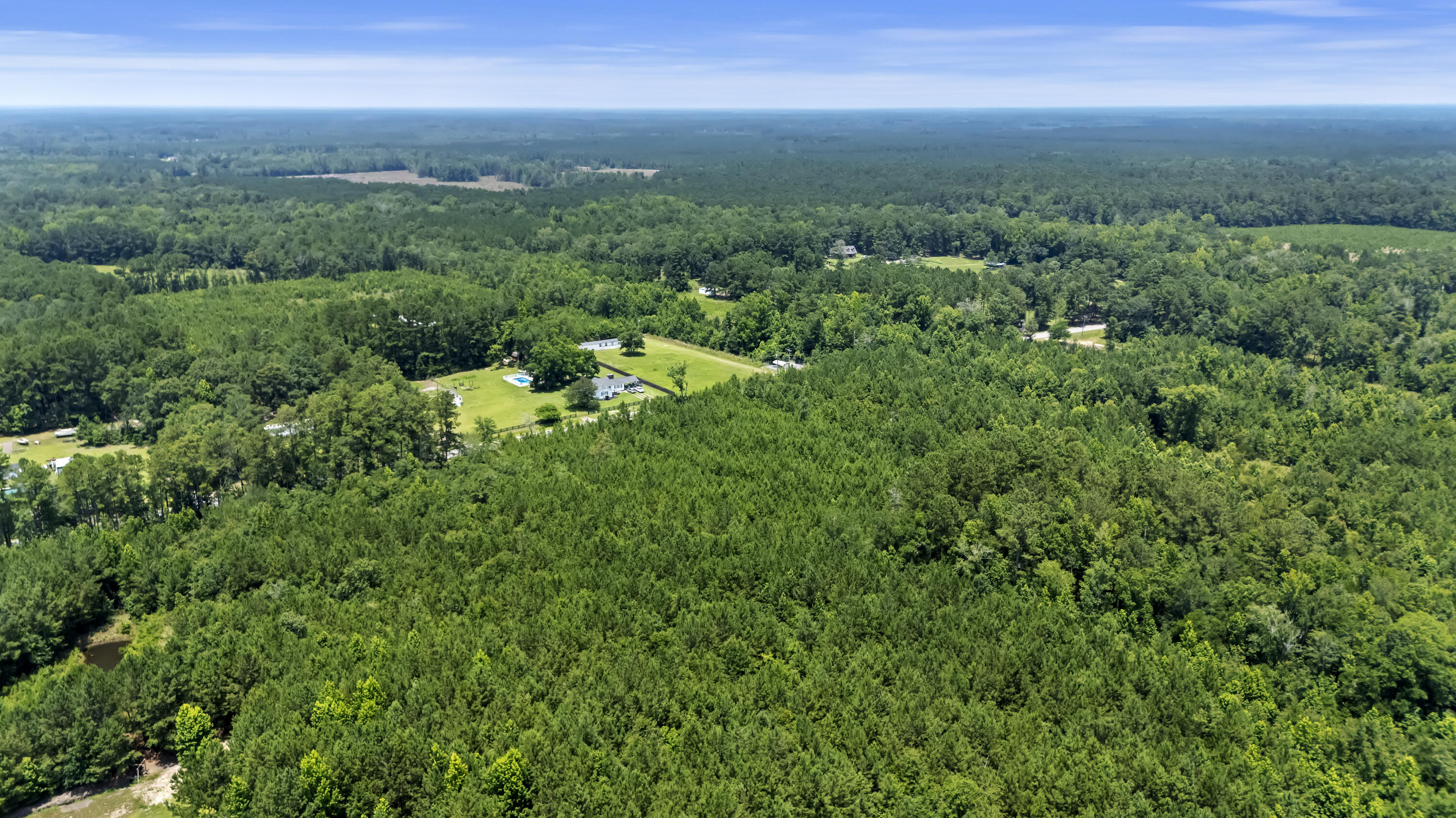 1667 Mudville Road Ridgeville, SC 29472 - Photo 5 of 14 DJI_20250625134126_0782_D