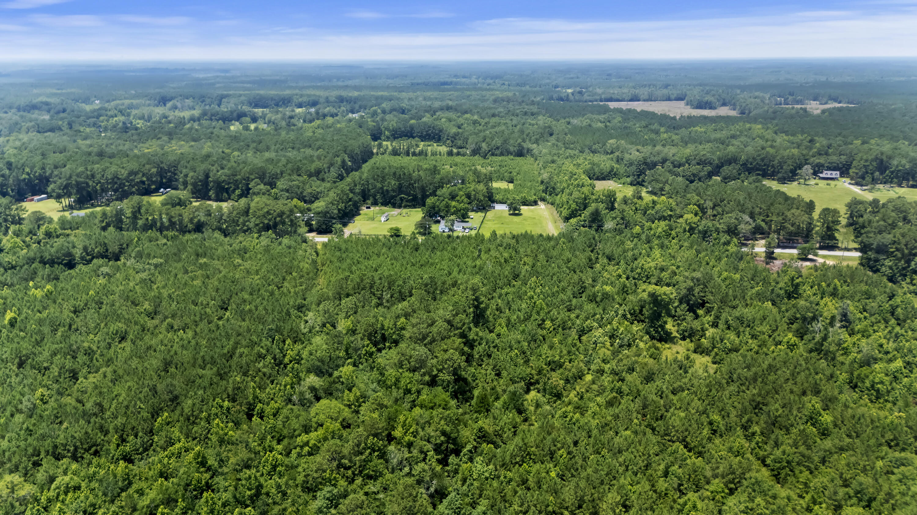 1667 Mudville Road Ridgeville, SC 29472 - Photo 6 of 14 DJI_20250625134149_0785_D