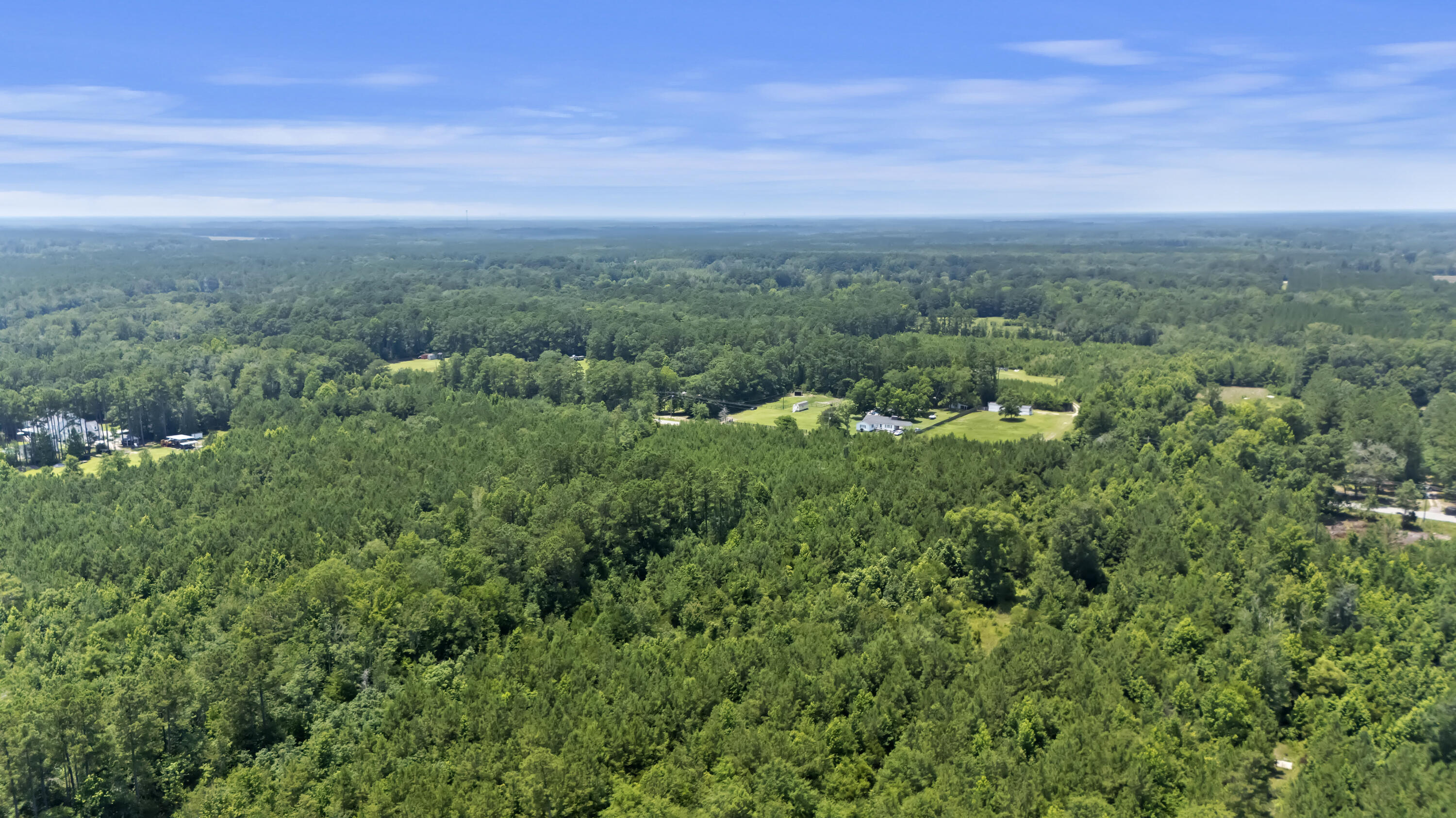 1667 Mudville Road Ridgeville, SC 29472 - Photo 7 of 14 DJI_20250625134228_0791_D