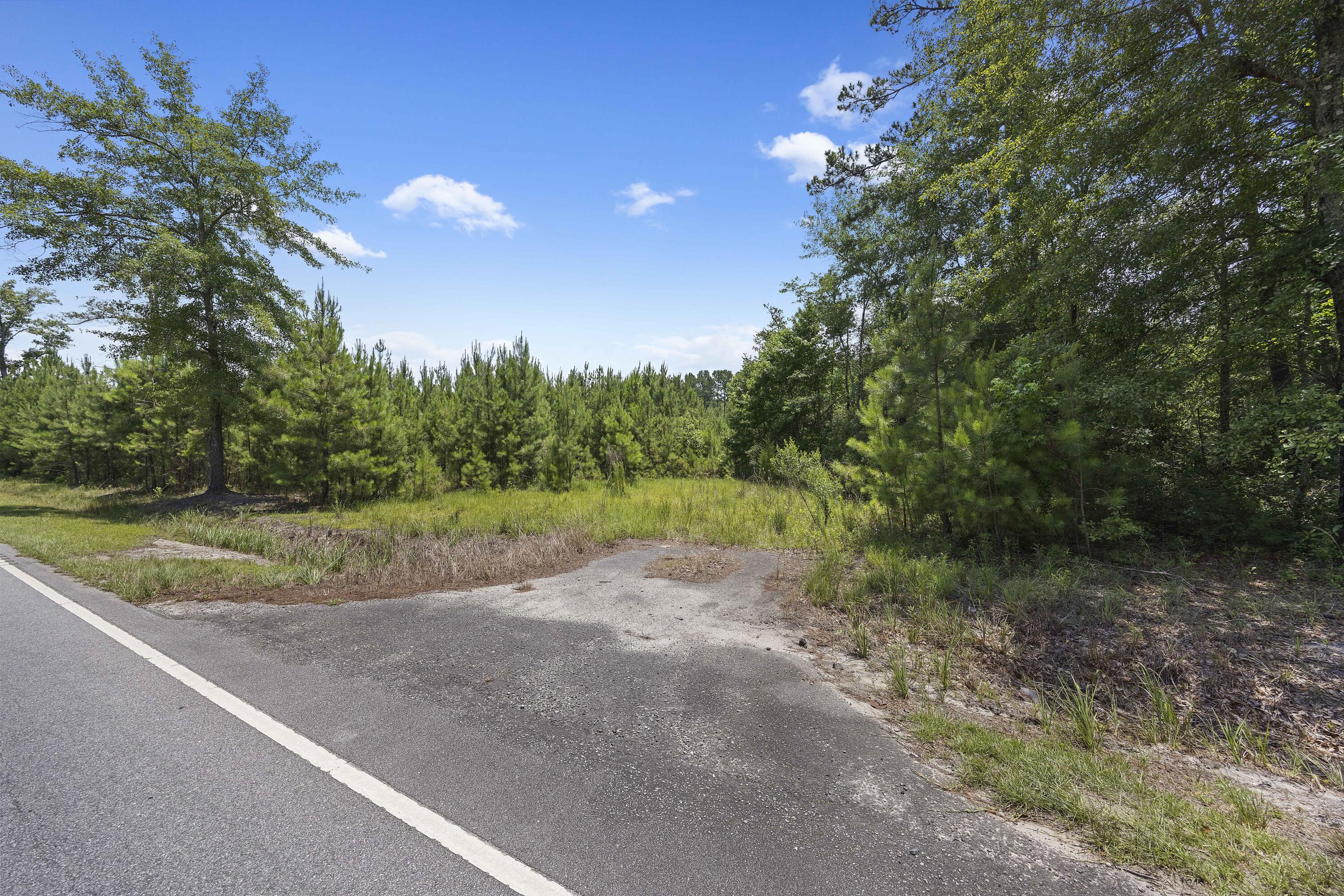 1667 Mudville Road Ridgeville, SC 29472 - Photo 9 of 14 243A0558