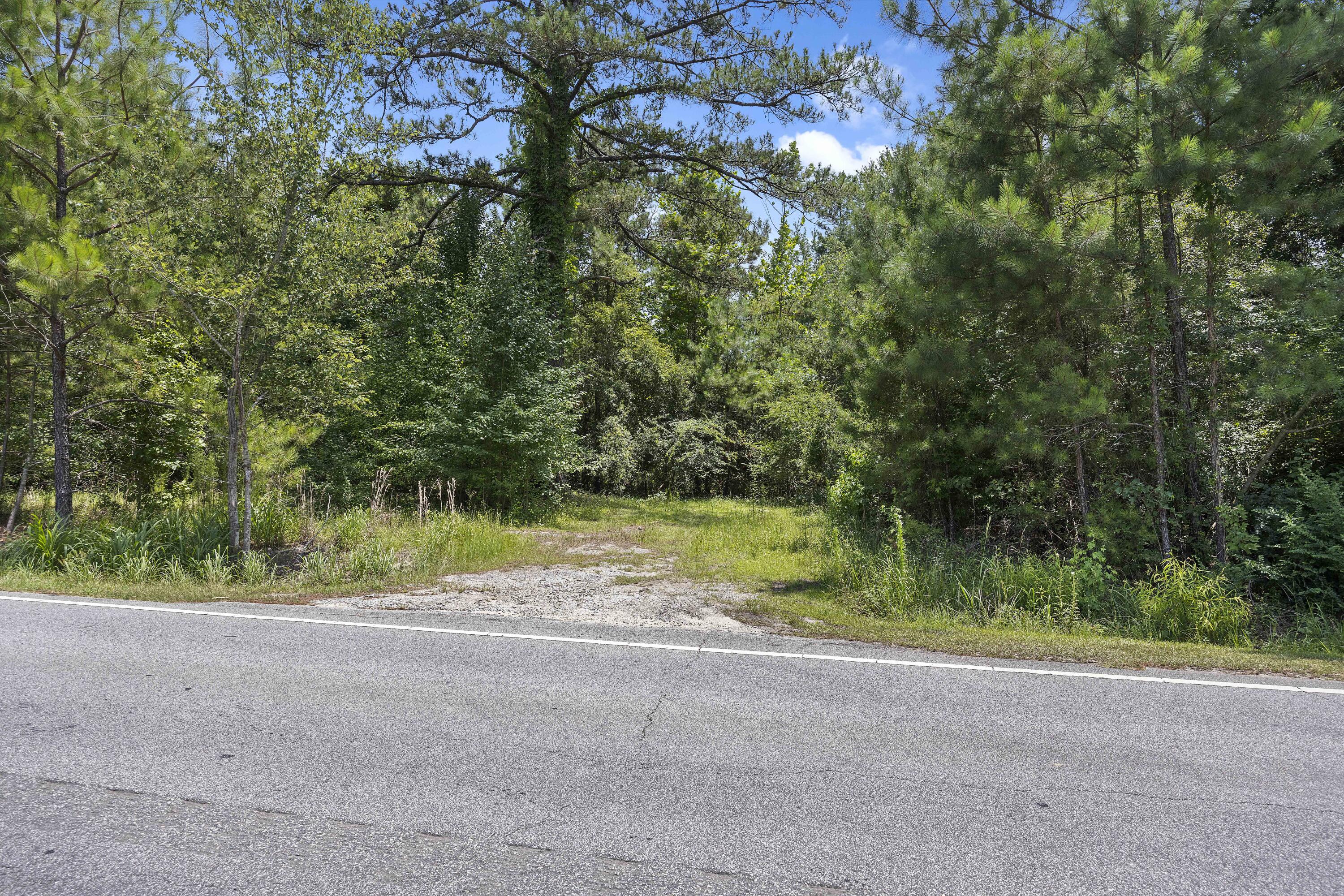 1667 Mudville Road Ridgeville, SC 29472 - Photo 10 of 14 243A0578