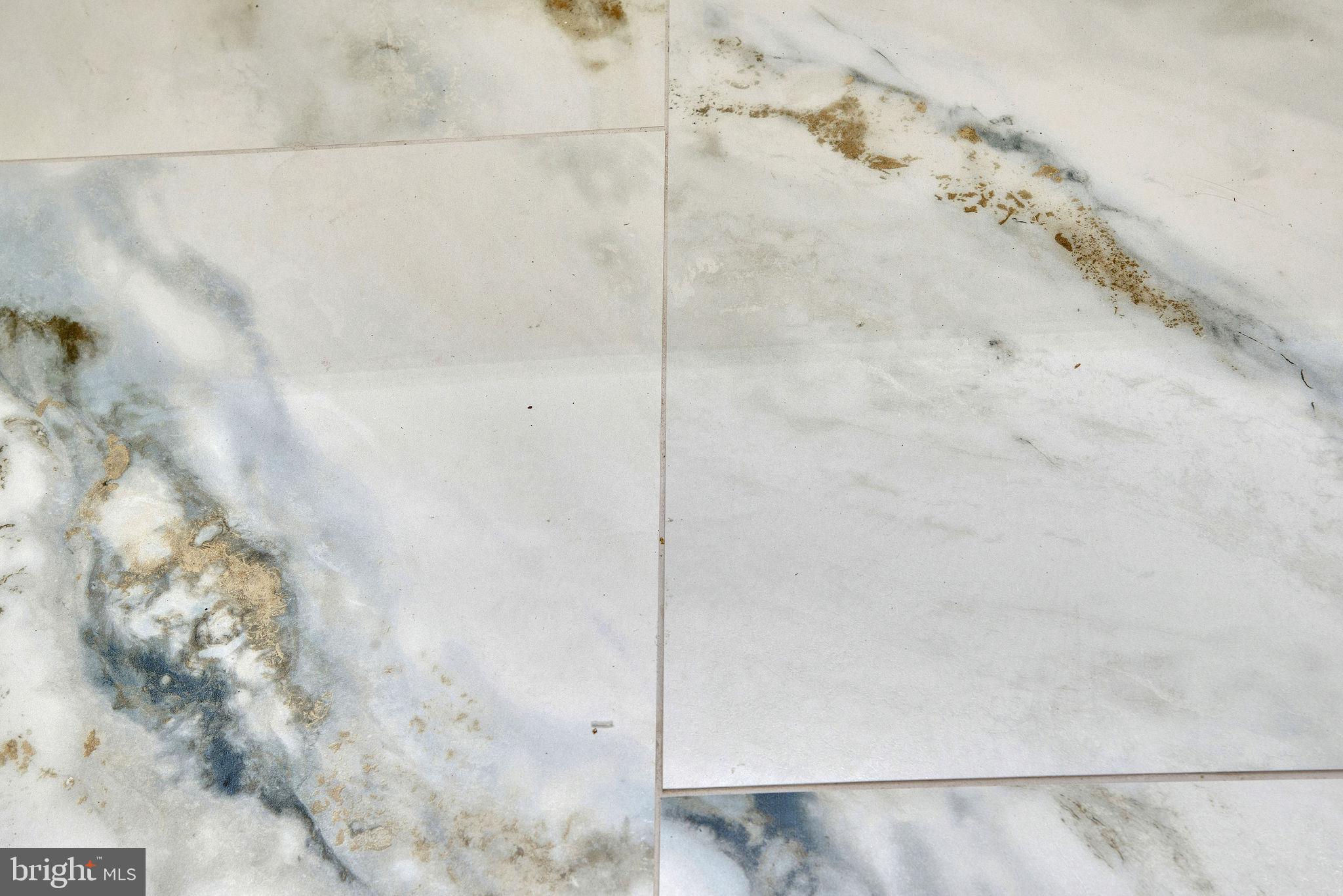 5 Spring Lane Yardley, PA 19067 - Photo 39 of 64 New tiles in shower stall: close-up