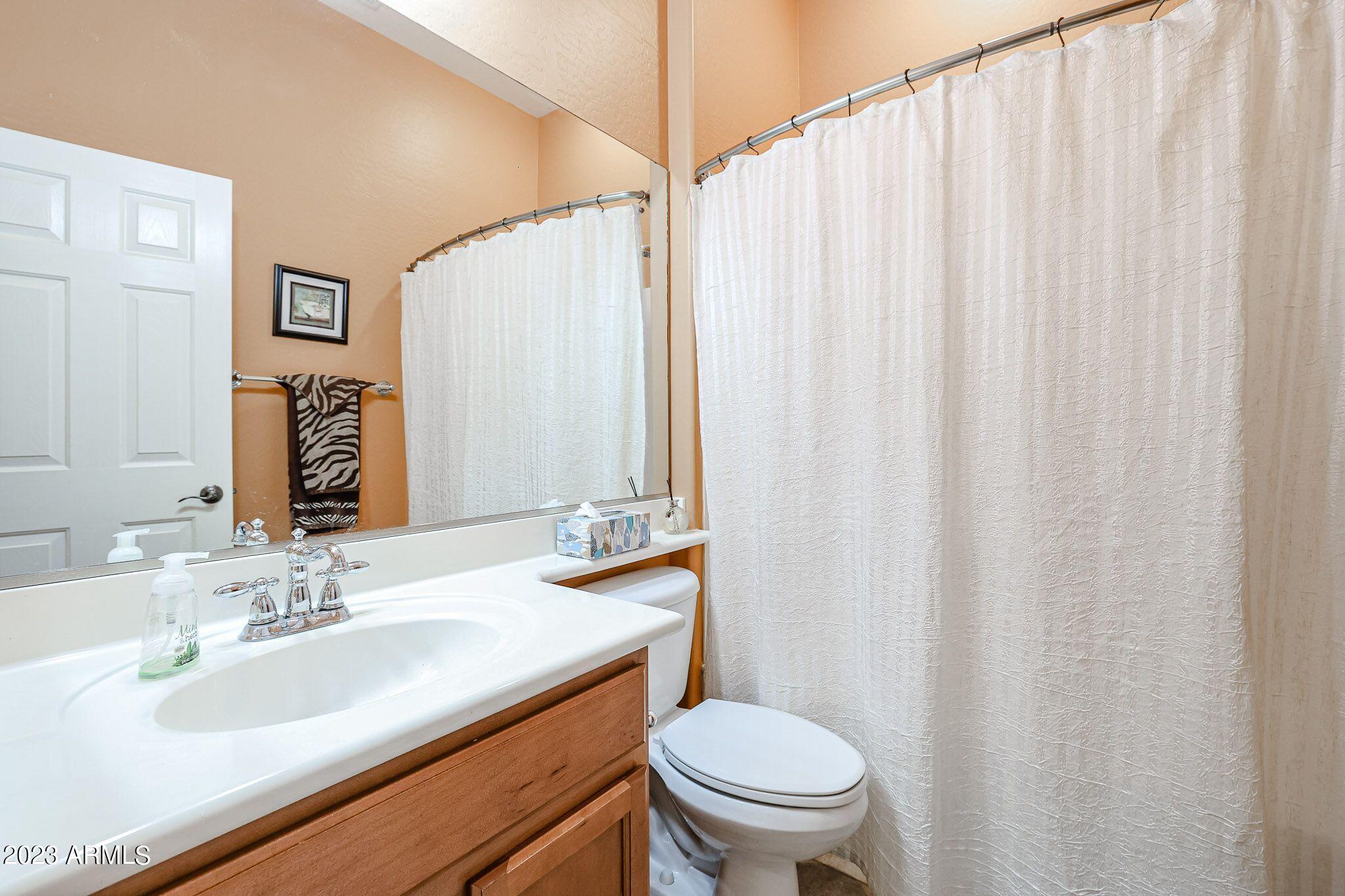 3952 North Point Ridge Road Buckeye, AZ 85396 - Photo 28 of 31 guest bath