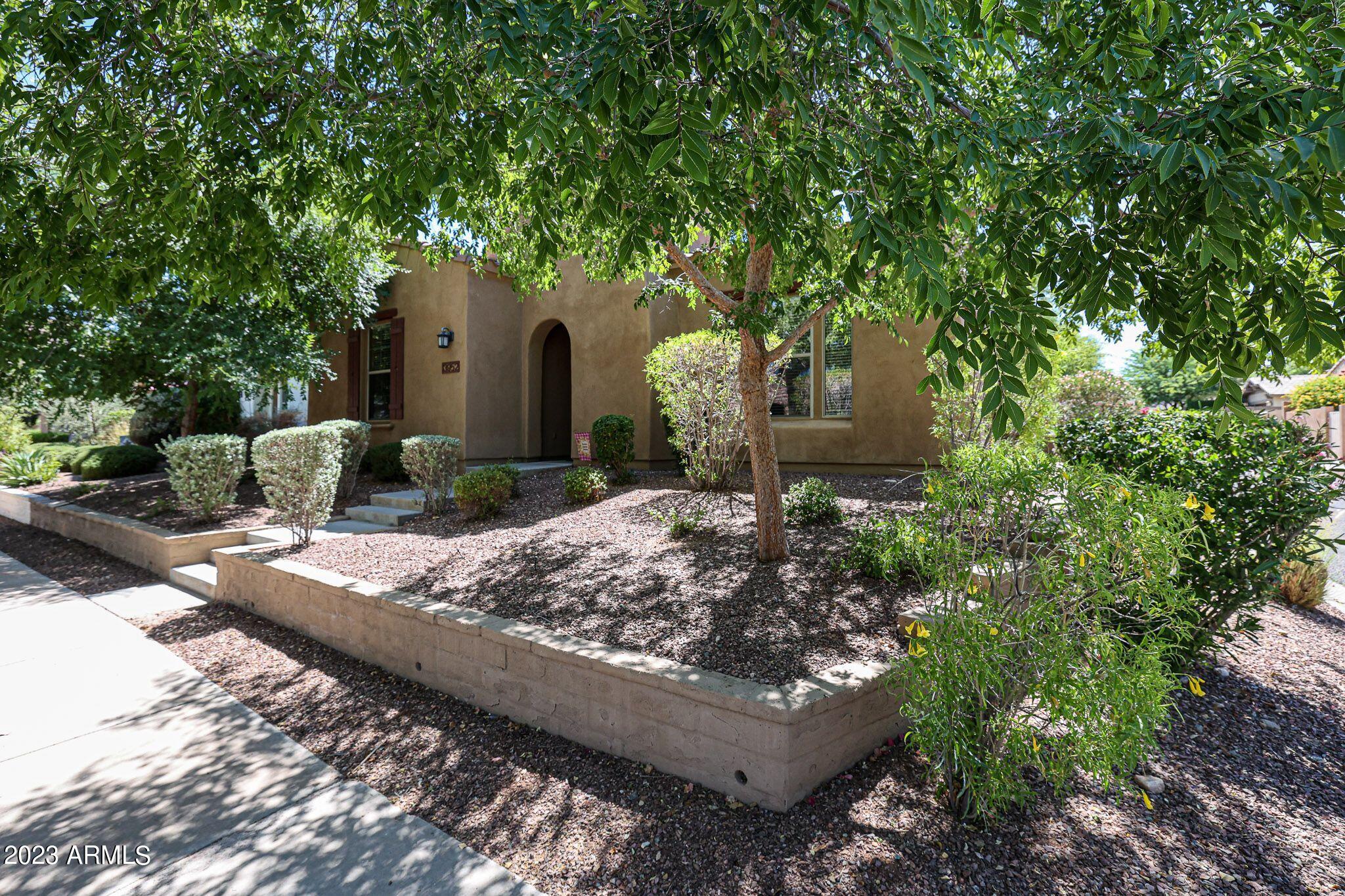 3952 North Point Ridge Road Buckeye, AZ 85396 - Photo 4 of 31 front yard 2
