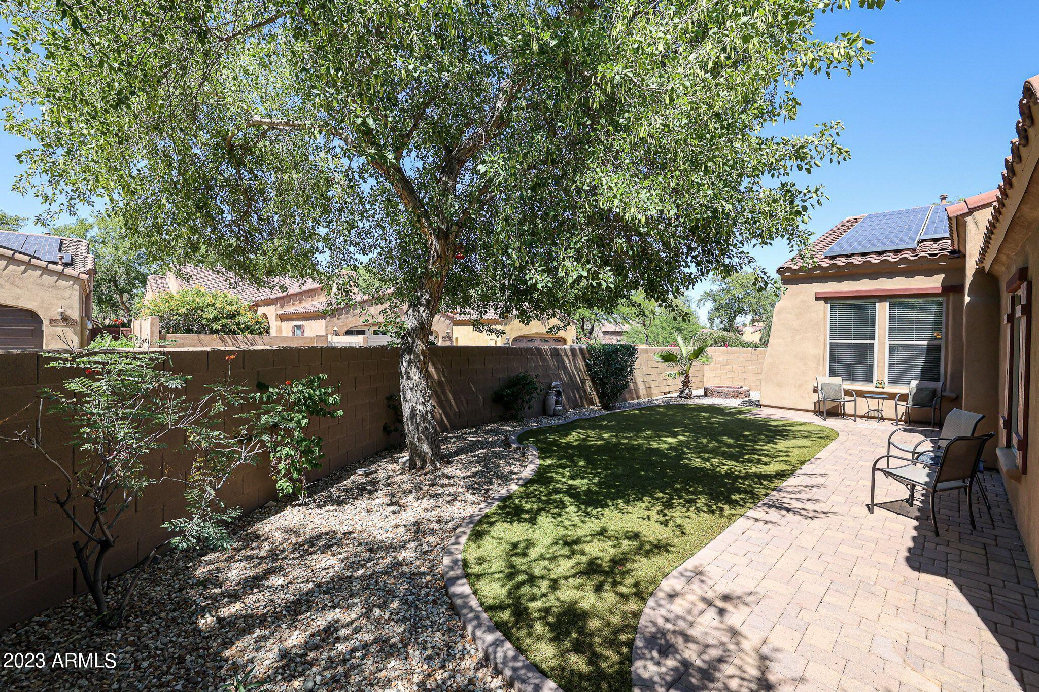 3952 North Point Ridge Road Buckeye, AZ 85396 - Photo 8 of 31 huge shade tree