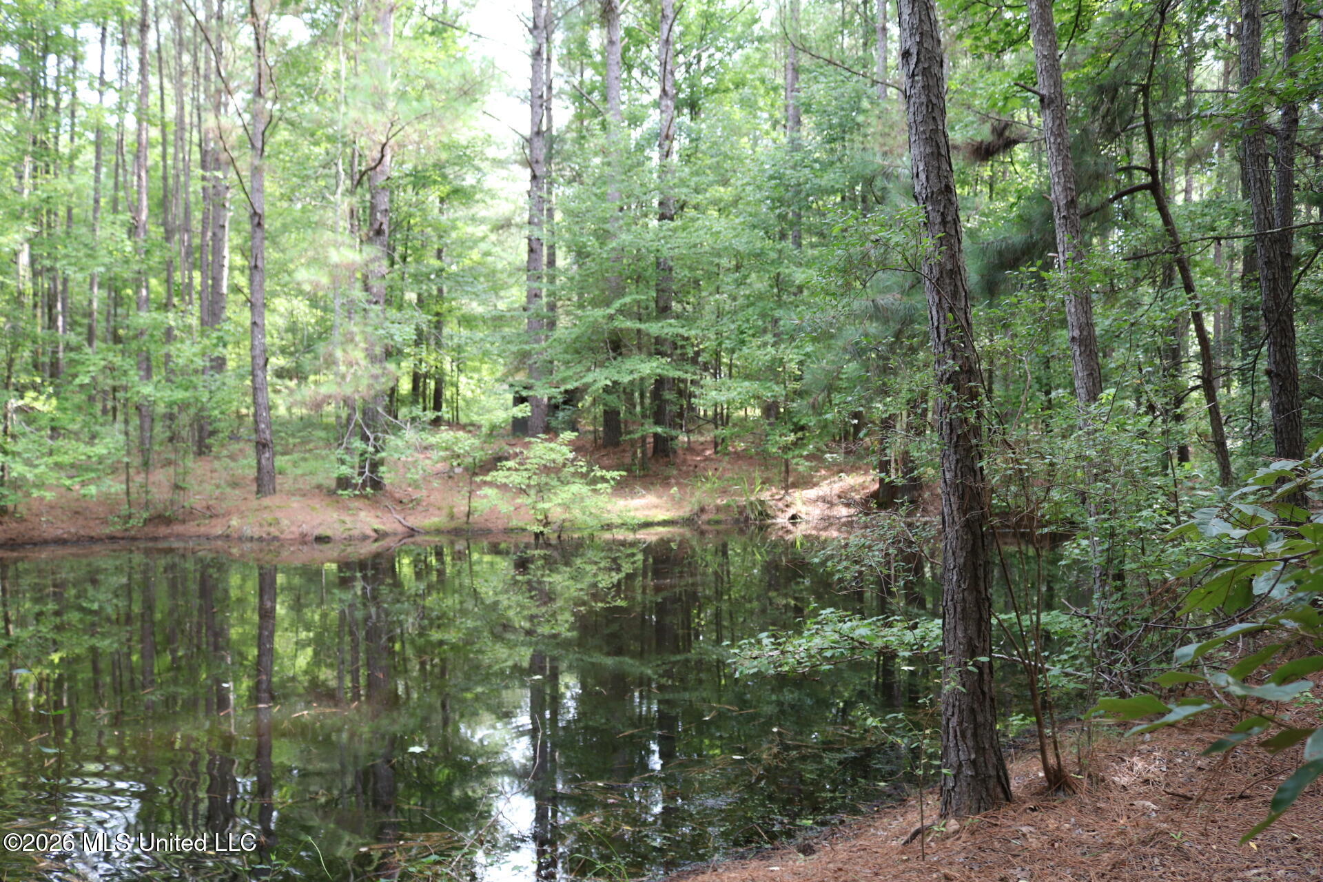2026 Stump Bridge Road Camden, MS 39045 - Photo 15 of 18 IMG_5706
