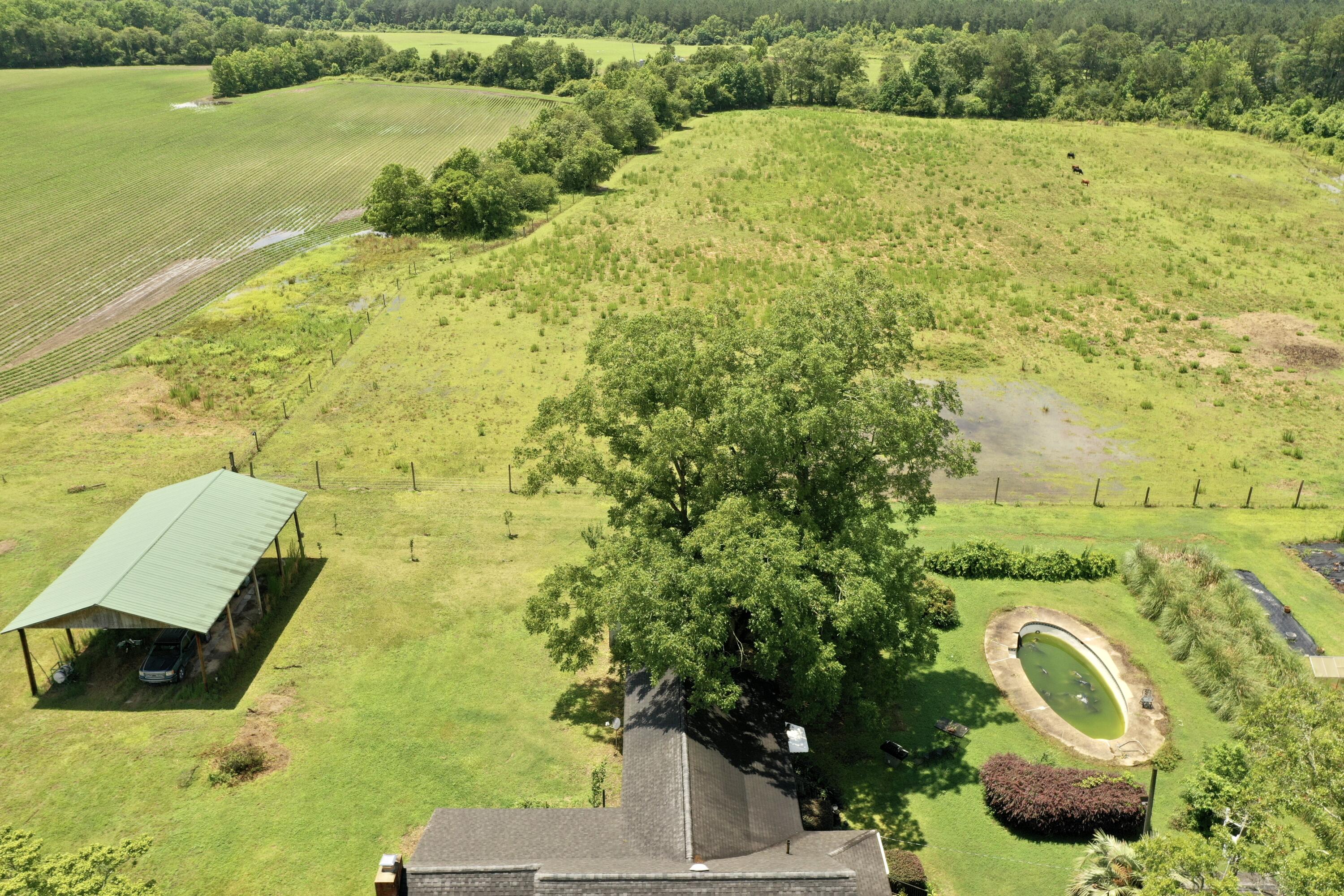 4420 Vance Road Holly Hill, SC 29059 - Photo 48 of 65 dji_0711