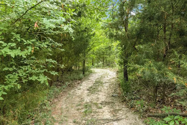 $724,900 | 11374 Highway 154, Yantis, TX 75497