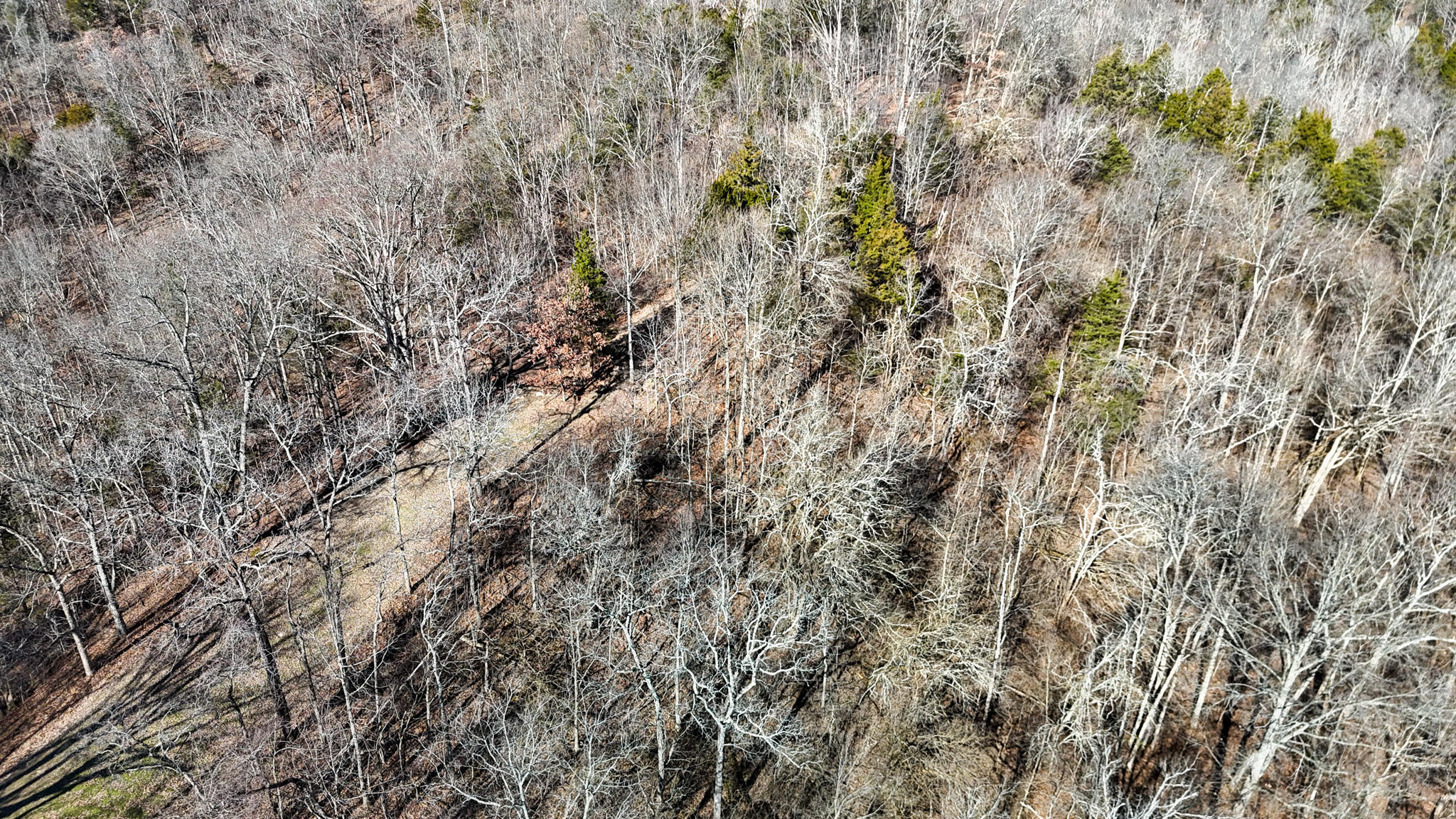 248 Sulphur Lick Road Frankfort, KY 40601 - Photo 12 of 50