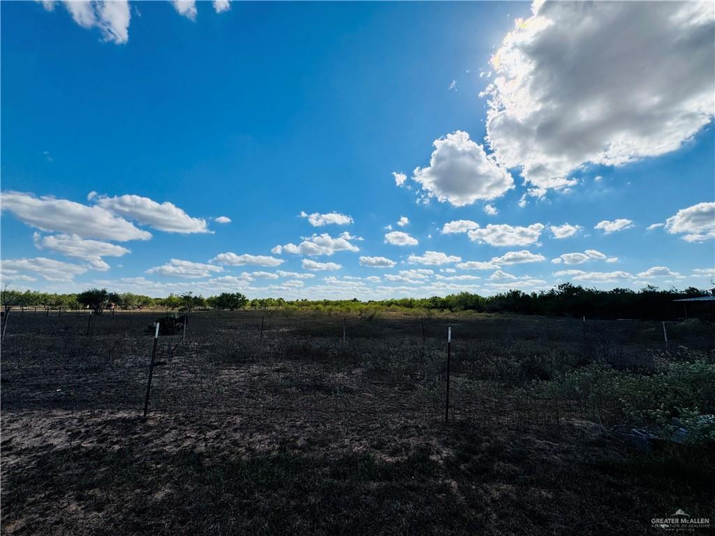 22417 Carrizales Road, Unit SERVICE Edinburg, TX 78542 - Photo 21 of 28 a view of a yard
