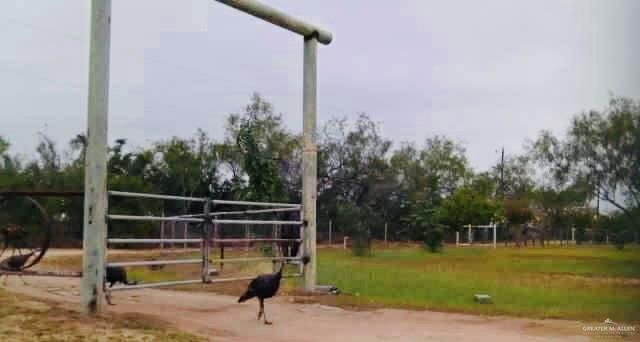 22417 Carrizales Road, Unit SERVICE Edinburg, TX 78542 - Photo 24 of 28 a view of a park with large trees